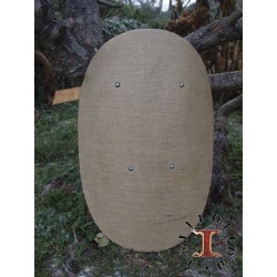 Shield type 6